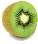 Guinea Pig Kiwi