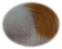 Guinea Pig Hair