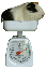 Guinea Pig Weighing