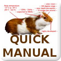 Quick Manual