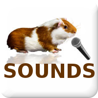 Sounds