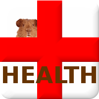 Health