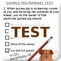 Test