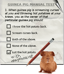 guineapigmanual.com